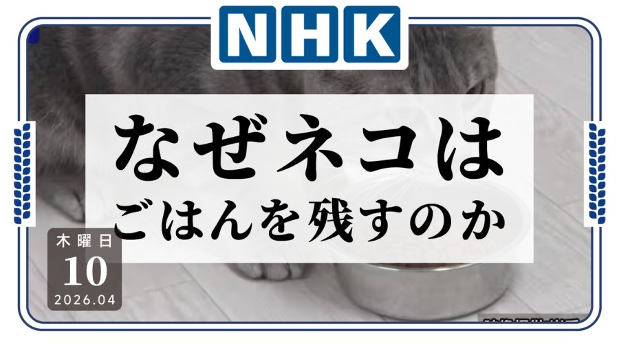 日语阅读 - 这才是真正的猫学家！岩手大学探究猫咪剩饭的核心原因 - MOJi辞書