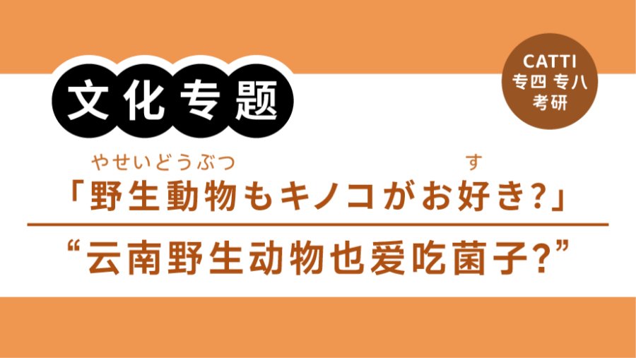 「翻译常见表达拆解|“整理素材”“望而却步”怎么翻？」-MOJi辞書