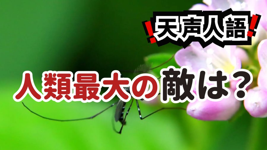 日语阅读 - 它是人类最大的敌人 | 人类近半数死亡与其有关 - MOJi辞書