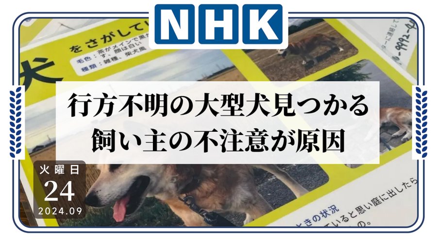 日语阅读 - 内有恶犬勿入！失踪大型犬自己回家了？ - MOJi辞書