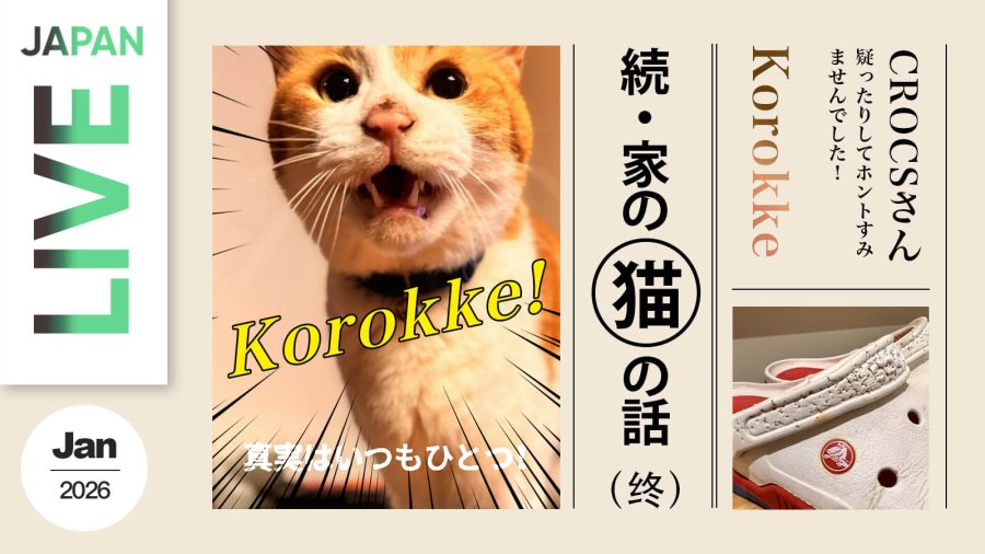 日语阅读 - （终）咱家的猫·续 | 鞋带离奇穿孔，“犯罪嫌疑人”竟在身边！ - MOJi辞書